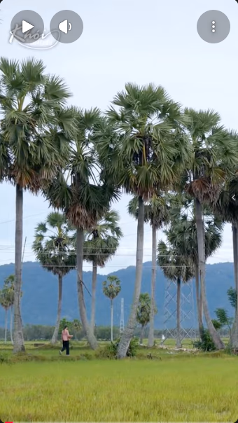 Hướng dẫn