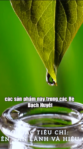 Chuyên gia